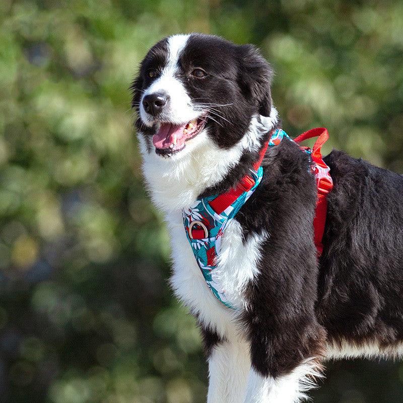 Reflective Hawaiian Print Pet Harness - Pet Pride Tees